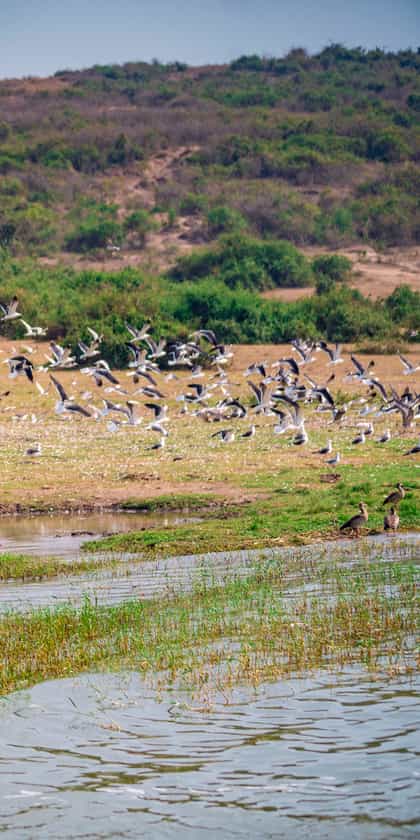 Queen Elizabeth National Park