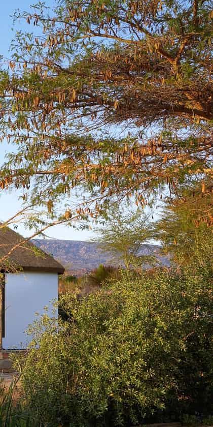 Bushmans Kloof Lodge, Cederberg | Timbuktu Travel