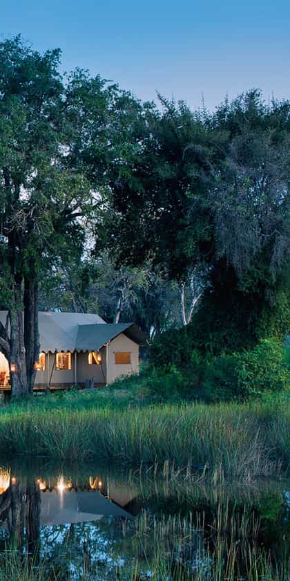 Duba Explorers Camp, Central Okavango | Timbuktu Travel