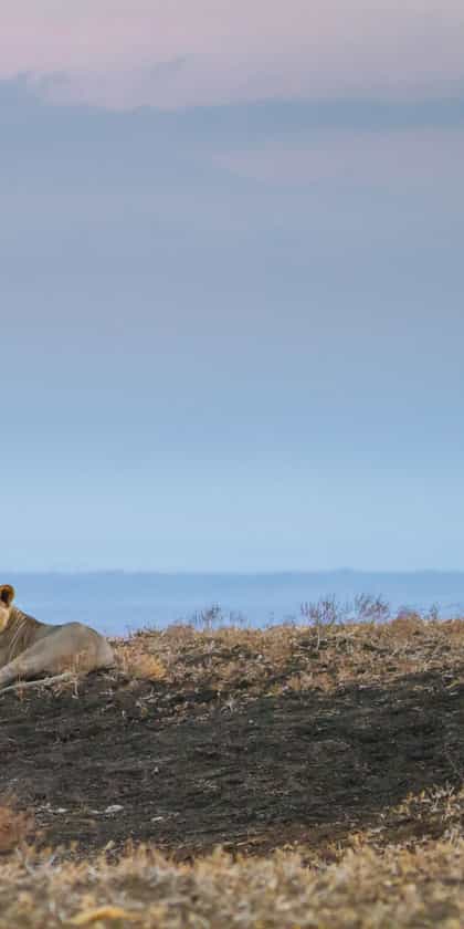 Amboseli & Chyulu Hills
