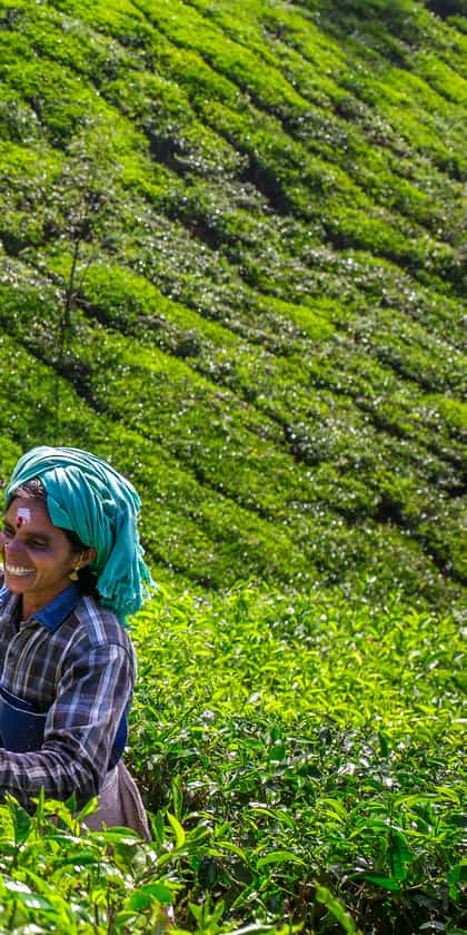 Munnar