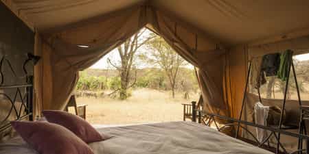 View from inside tent