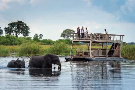 Elephant crossing the Linyanti