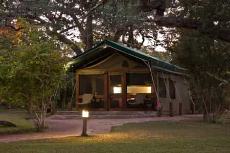 The forest tents are set beneath sturdy knobthorn trees