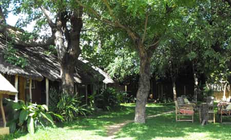 The mgoza lodge gaeden and rooms
