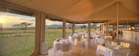 fine dining and wining