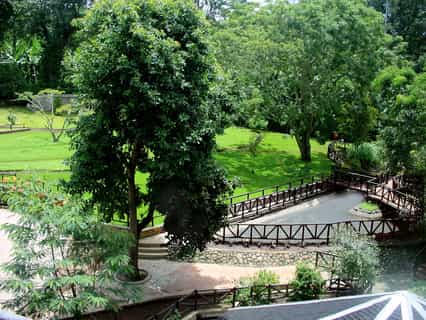 Situated at the foot of Mount Kilimanjaro, Aishi is located a few kilometres from the Machame Gate. 
