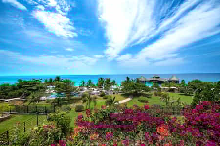 Must be the garden of Eden!