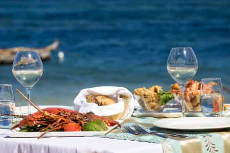 Gourmet seafood cuisine