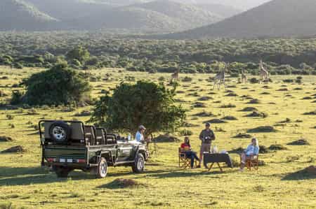 Guests enjoy twice daily game drives with their professionally qualified guide and can also enjoy guided walks and river safaris.