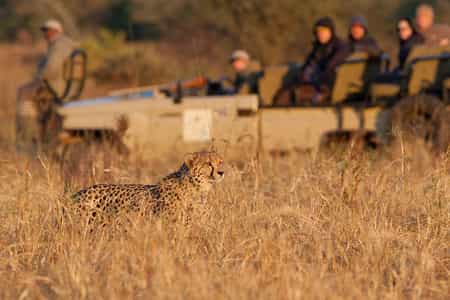 Private Amakhosi Game vehicle 