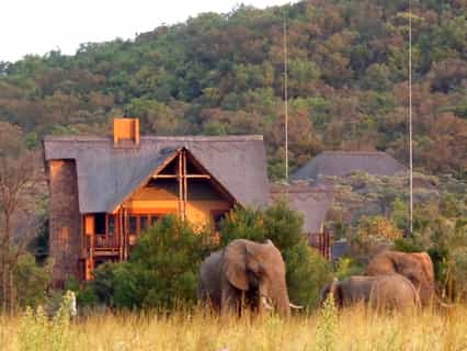 Kololo is a perfect safari destination. Visit neighbouring reserve Welgevonden Game Reserve (of which Kololo is also part) and view the Big 5 - lion, leopard, elephant, rhino and buffalo - or enjoy a sneak preview over the fence, from the comfort of your chalet at Kololo.