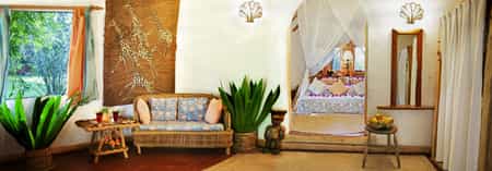 This picture captures Olerai garden in all its glory