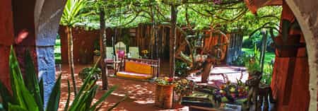 A collage of the different animals within the Olerai Private Wildlife Sanctuary