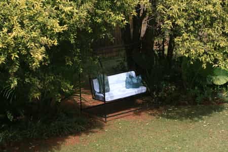 The bench between the trees