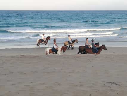 Horse Riding on the Beach