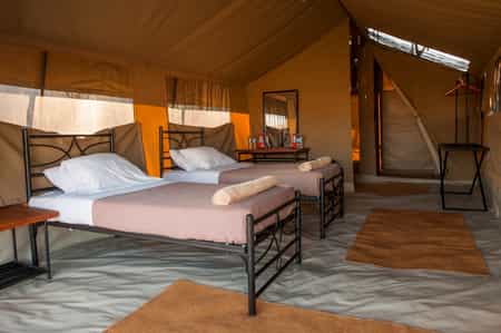 View from inside the tent