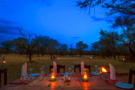 Private bush dinner can be arranged for the family, honeymooners or a group of friends.