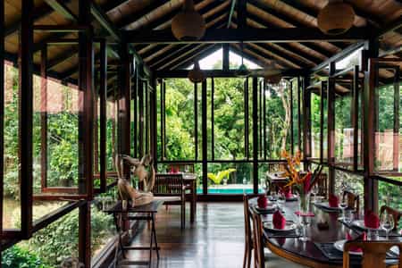Dining in the canopy of the trees