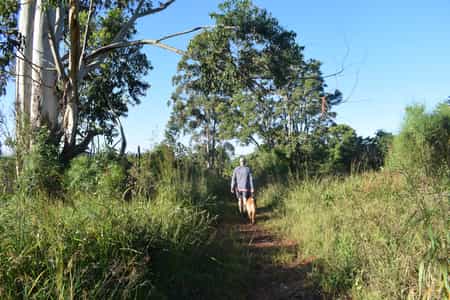There are numerous mountain biking and walking routes to suit all capabilities from the easy 2km family walk to a more arduous 7 hour hike... to take in the magnificent variety of sceneries that the Lodge is set in