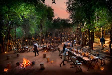 Bush hideaway