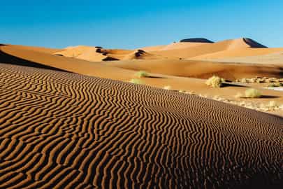 Explore the dunes of the Sossusvlei desert