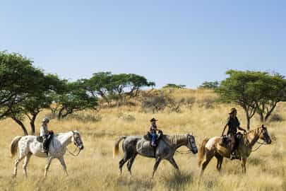 Horse safari