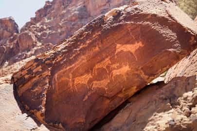 Examine ancient rock art in Damaraland