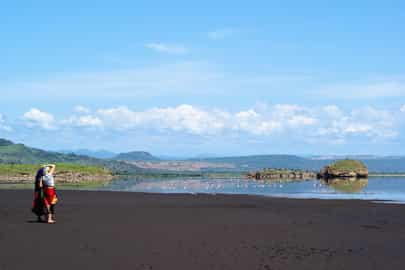 Region image