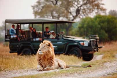 Game Drive