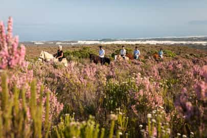 Horseback ride across hills of fynbos in Overberg