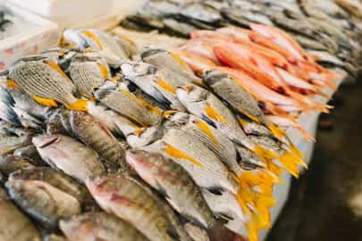 Visit a local fish market in Ras Al Khaimah's 