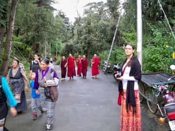 Join the sacred Kora walk in Dharamshala