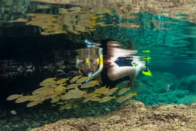 Go snorkelling in Fernando de Noronha