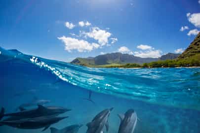 Reunion Island