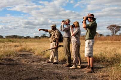 Track wildlife on a guided walking safari in Tarangire 
