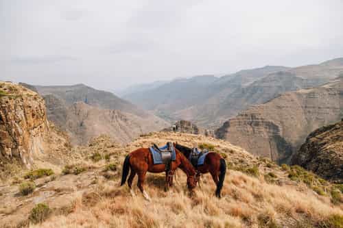 Lesotho