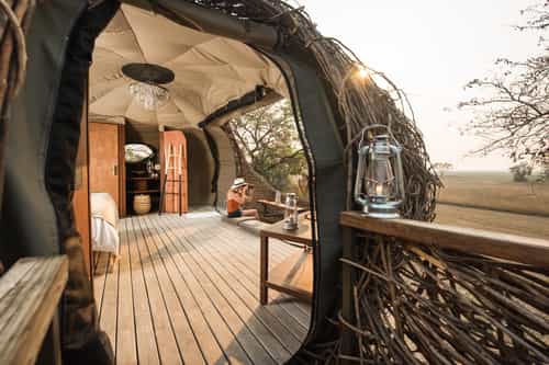 Chisa Busanga 'The Nest' Camp