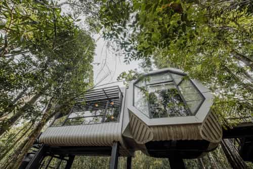 Bensley Collection Shinta Mani Wild