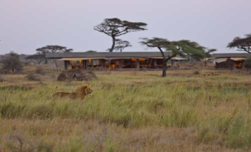 Namiri Plains Camp