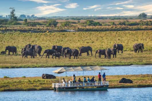 Chobe National Park