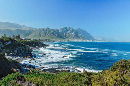 Hermanus