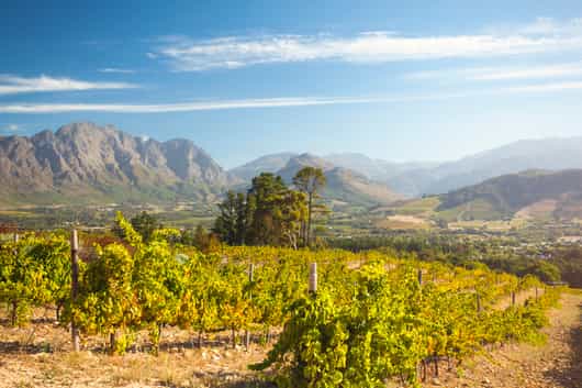 The Franschhoek Valley