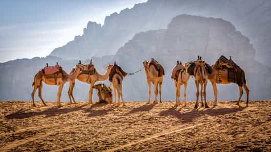 Wadi Rum
