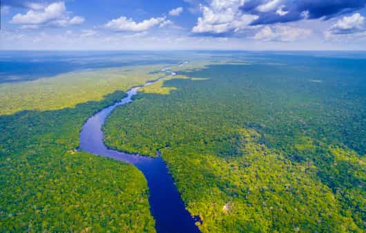Brazilian Amazon
