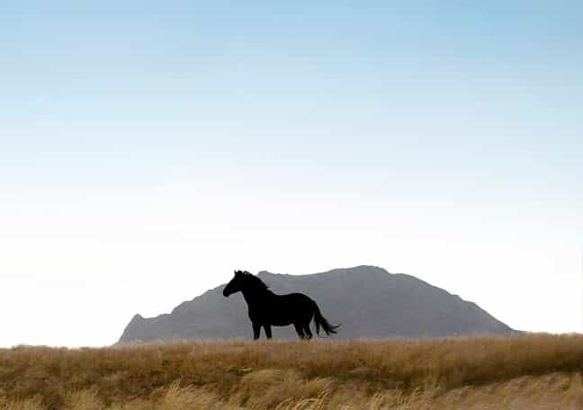 Klein-Aus Vista: Eagles Nest Chalets