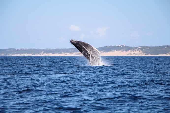  Montebelo Girassol Maputo Hotel