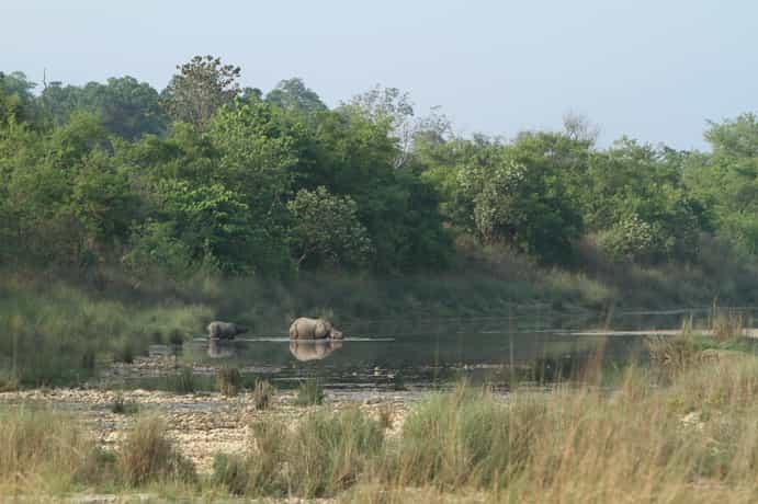 Rhino Lodge Bardia