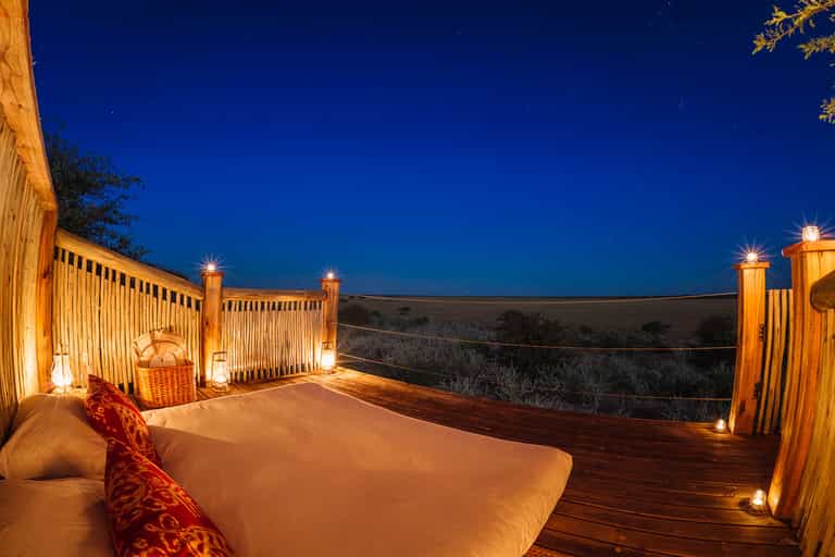 Learn about the stars and night sky