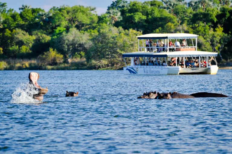 Float down the mighty Zambezi